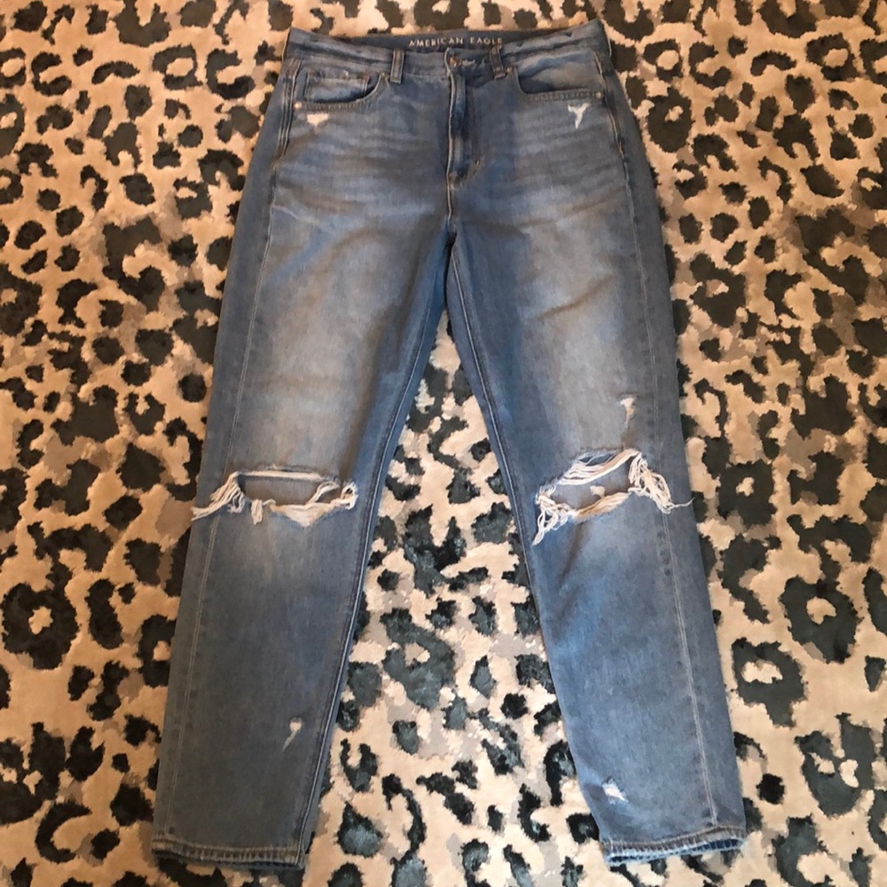 AE Mom Jeans